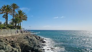 2024-01-Paseo_Costa_Canaria-San_Agustin-Ingles-059.jpg